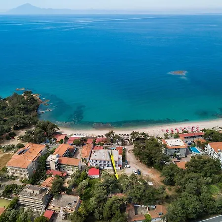 Olga * Πευκάρι