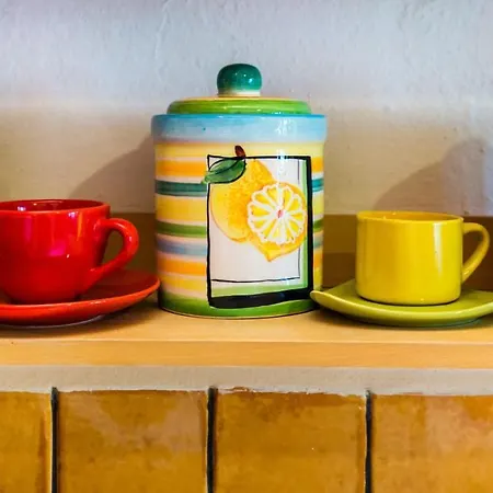 Olga Βίλα Πευκάρι