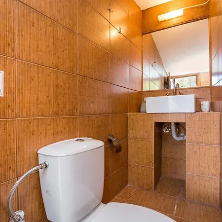 Βίλα Olga Πευκάρι