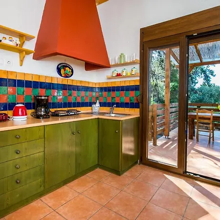 Olga * Πευκάρι