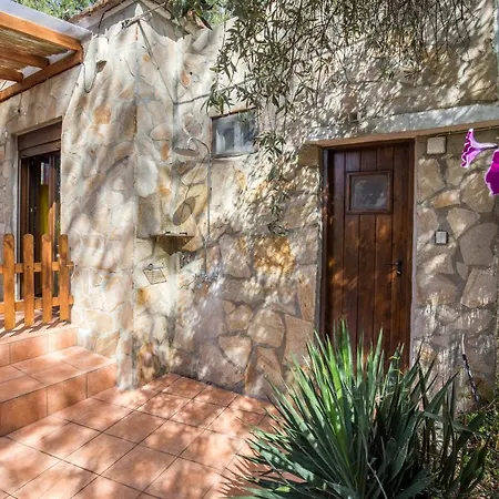 Olga * Πευκάρι